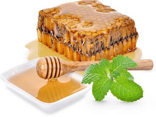 Abeille